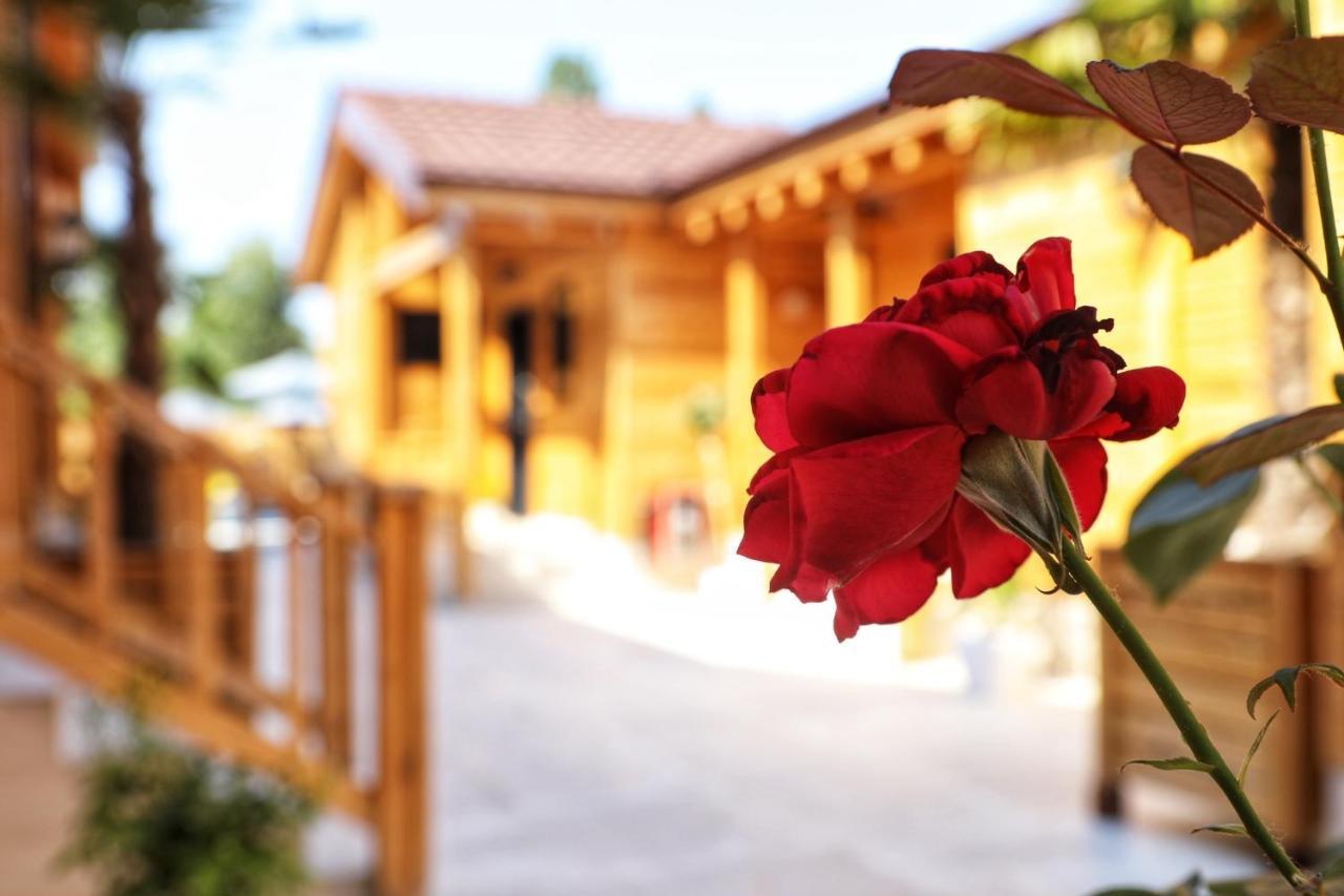 Bujtina Siar Hotell Pogradec Exteriör bild