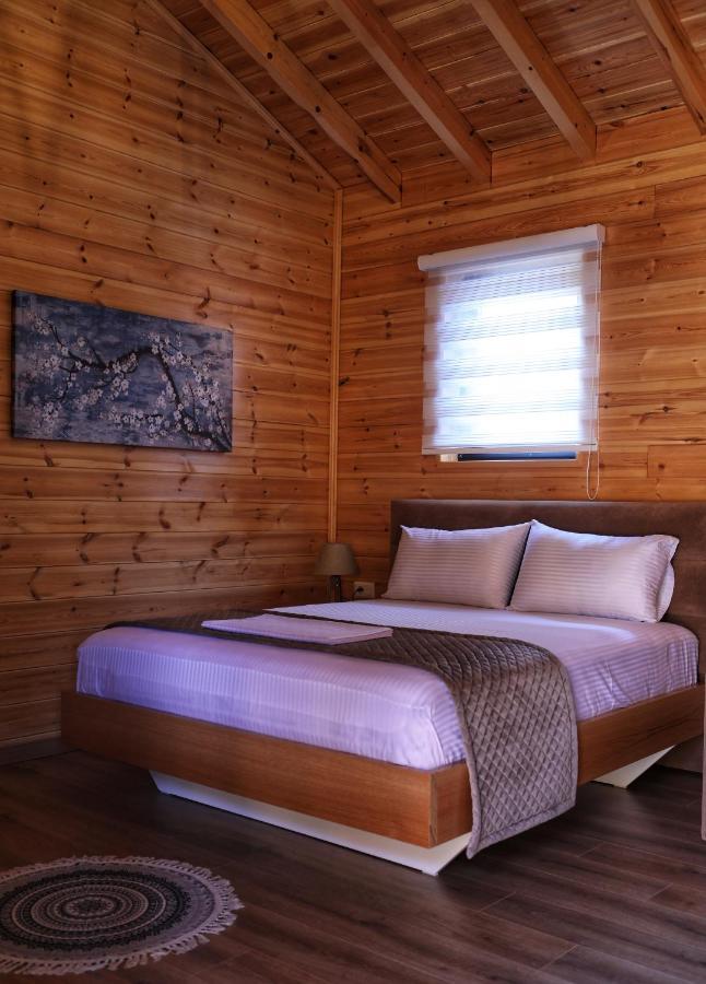 Bujtina Siar Hotell Pogradec Exteriör bild
