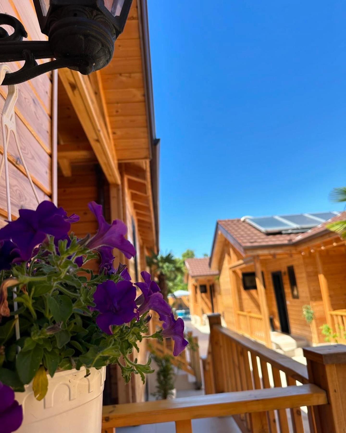 Bujtina Siar Hotell Pogradec Exteriör bild